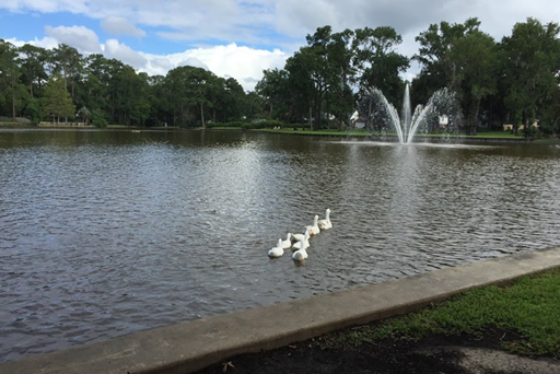 Colonial Manor Lake Park