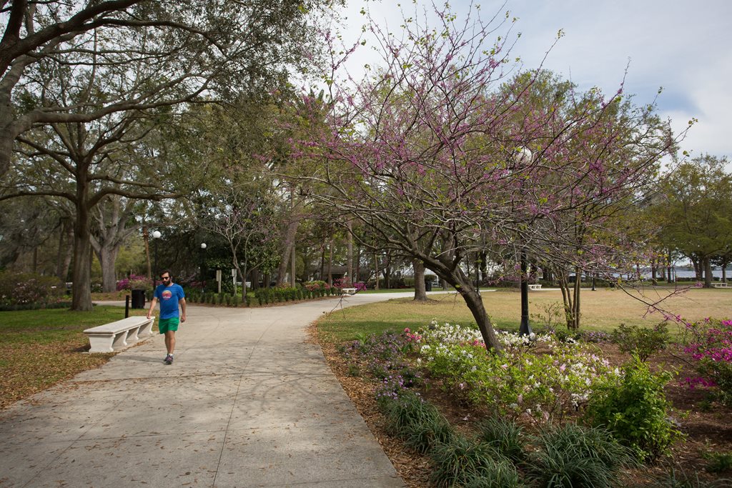 man walking on paved path in park