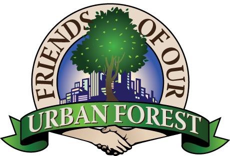 Jacksonville awarded two accolades from Florida Urban Forestry Council