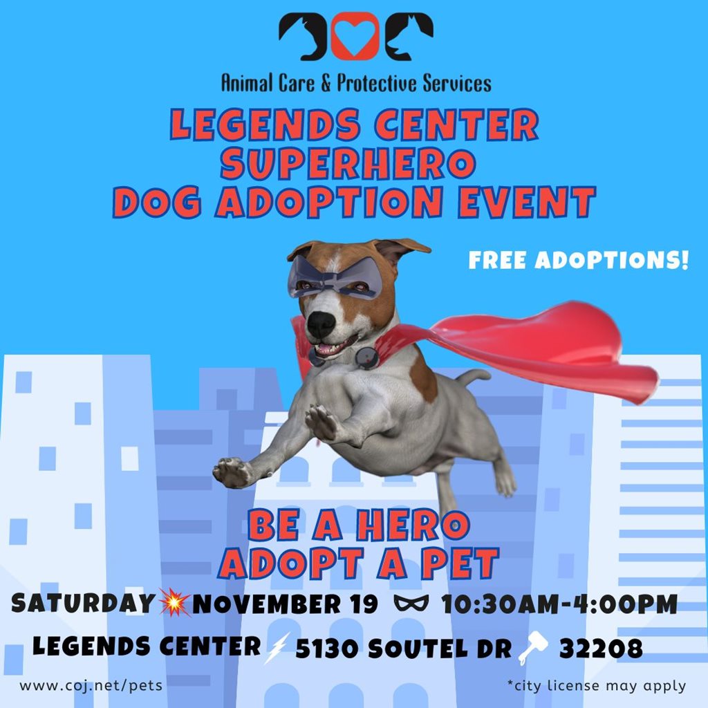 dog dressed as superhero with cape and mask