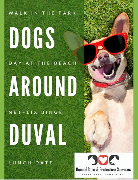 Dogs Around Duval Flier with Dog laying in grass with sunglasses on 