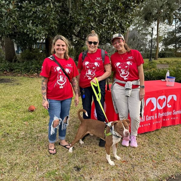 3 volunteers posing for a picture with a brown dog on leash in front of them. 