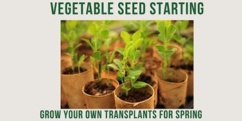Spring-vegetable-seed-starting-hands-on.jpg Spring-vegetable-seed-starting-hands-on.jpg