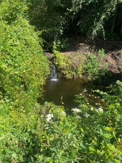 Bulls-Bay-Preserve-waterfall-(002).jpg