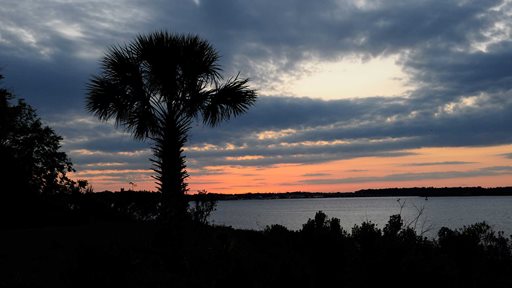 Reddie Point Preserve