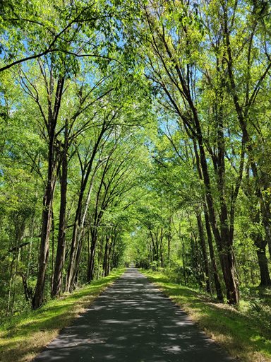 Jacksonville Baldwin Rail Trail