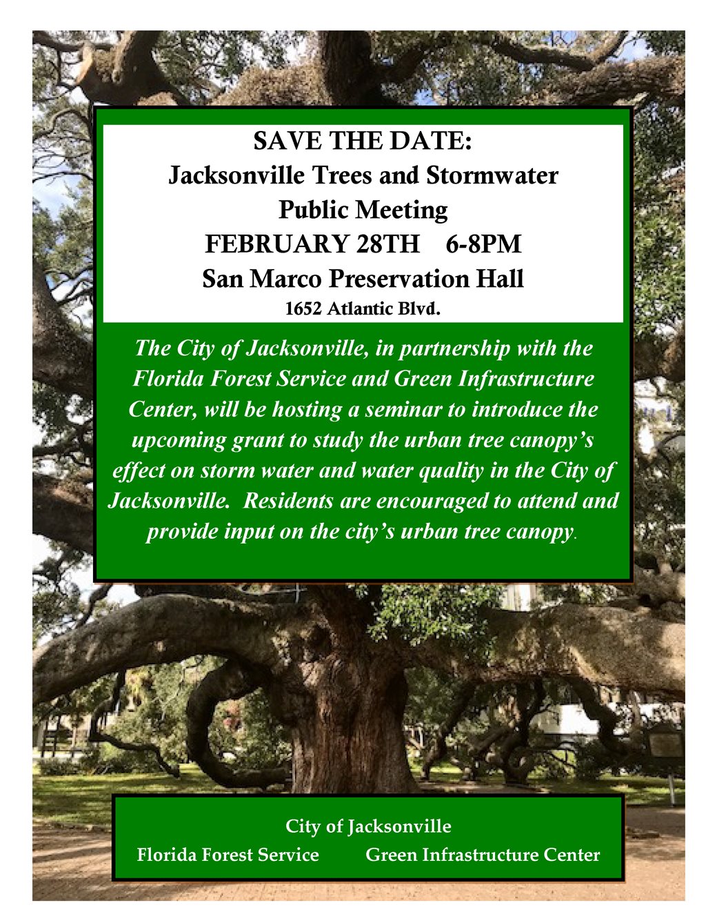 Jacksonville Trees and Stormwater Public Meeting Flyer