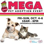 Mega Pet Adoption Flier with dog and cat laying side by side 