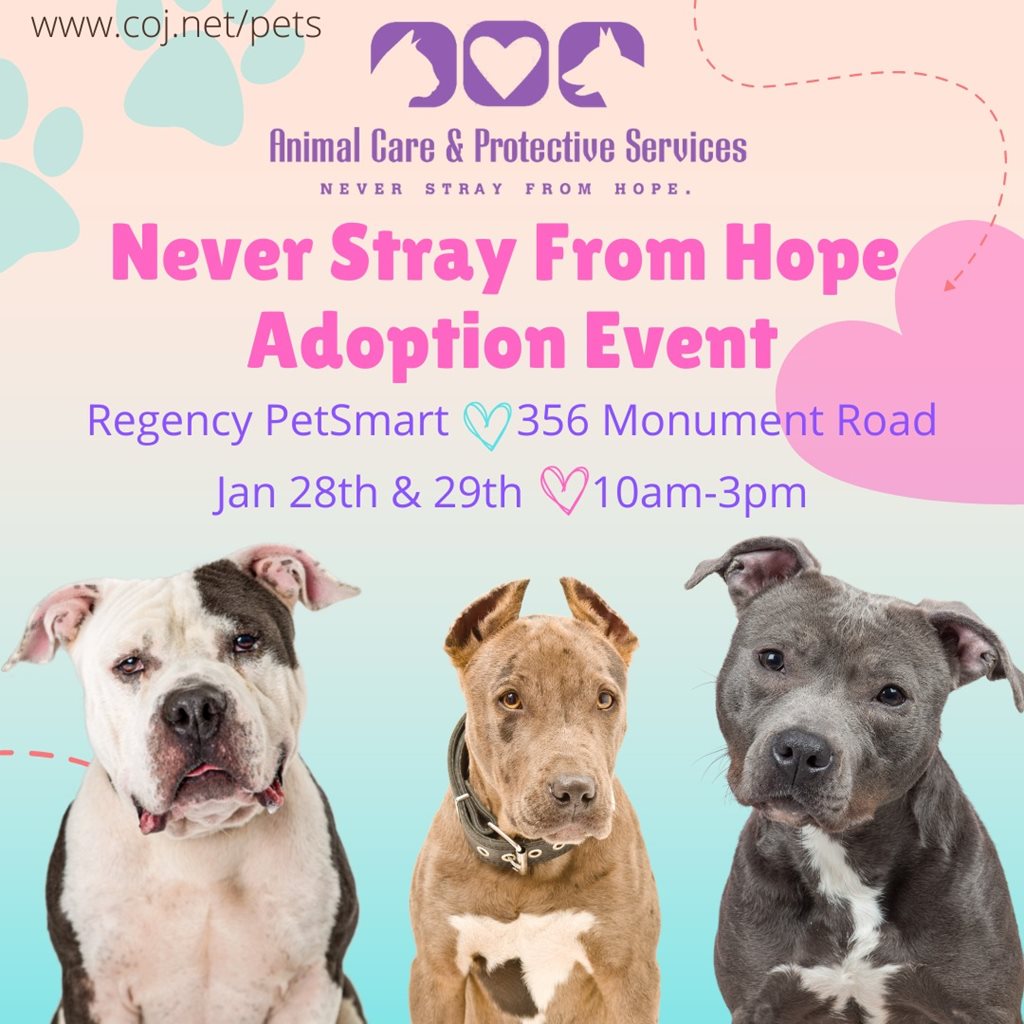 Never Stray From Hope Adoption Event with photos of dogs