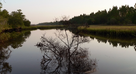 Cedar Point Preserve