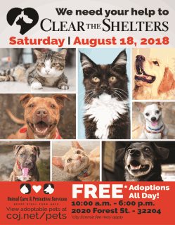 We need your help to clear the shelters Saturday August 18 2018 various pictures of cats and dogs free adoptions all day