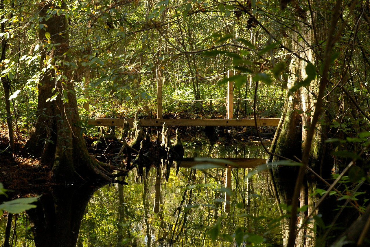 Jacksonville.gov - Jacksonville Arboretum and Gardens