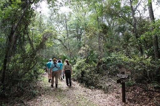 Bogey Creek Preserve