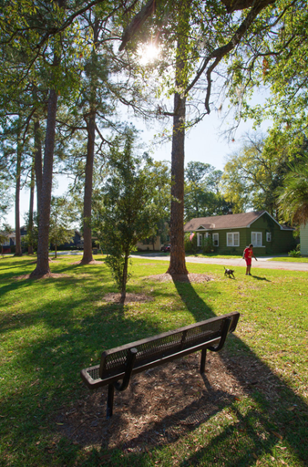 Bee Street Park
