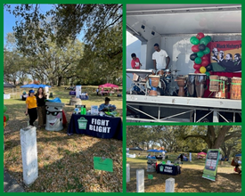 Gullah Geechee Festival