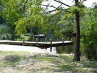 Thomas Creek