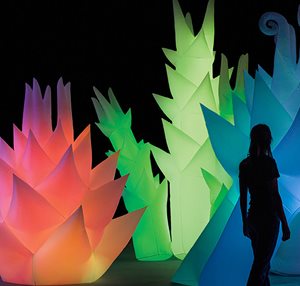 cummer museum illuminating nature