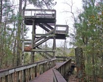 35-foot wooden viewing tower at Tillie K. Fowler Park