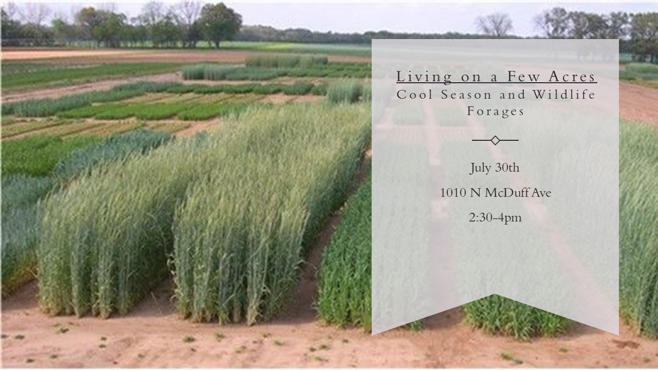 LOFA-Forages-july-2026.jpg LOFA-Forages-july-2026.jpg