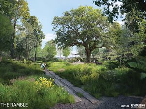 Met Park The Ramble RENDERING