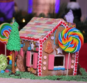 gingerbread extravaganza