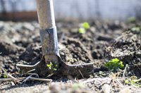 shovel digging hole in ground