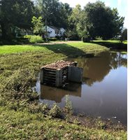 Broward retention pond - 2020