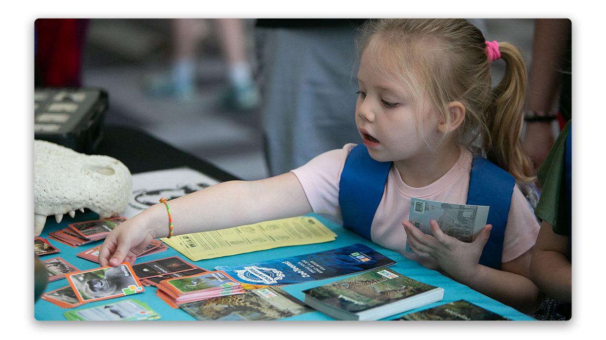 Girl playing with cards on a table at the library