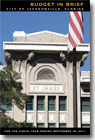 2011 Budget in Brief