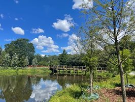 Broward Pond – June 2022